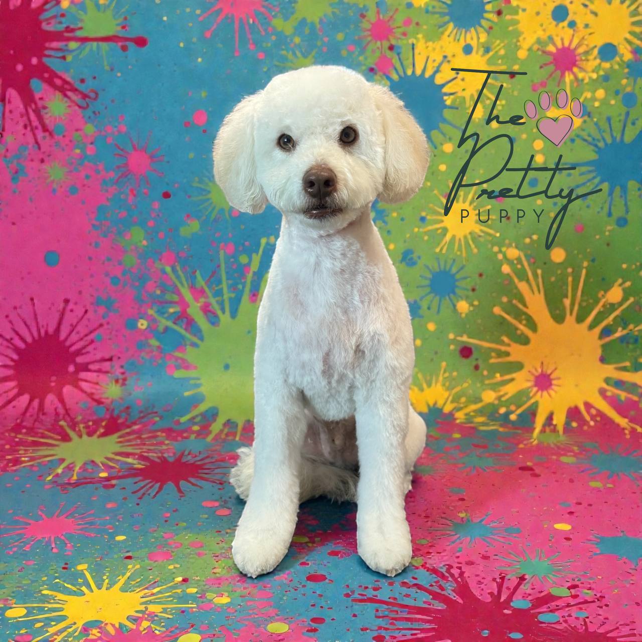 Jax, the WeLuv Foundation mascot